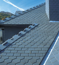 slate roof